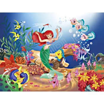 The Little Mermaid Ariel DTF Iron on Transfer  - Ready to Press  #89