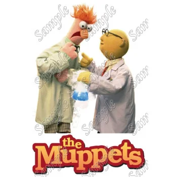 The Muppets  DTF Iron on Transfer - Ready to Press #1