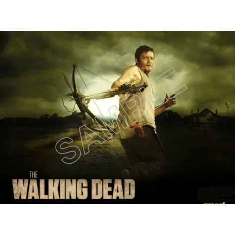 Walking Dead Daryl Dixon  DTF Iron on Transfer - Ready to Press #2
